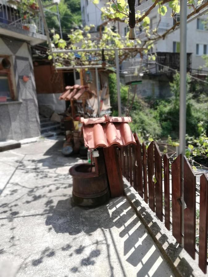 Дом Бакалски-Кмета Narechenski Bani 外观 照片