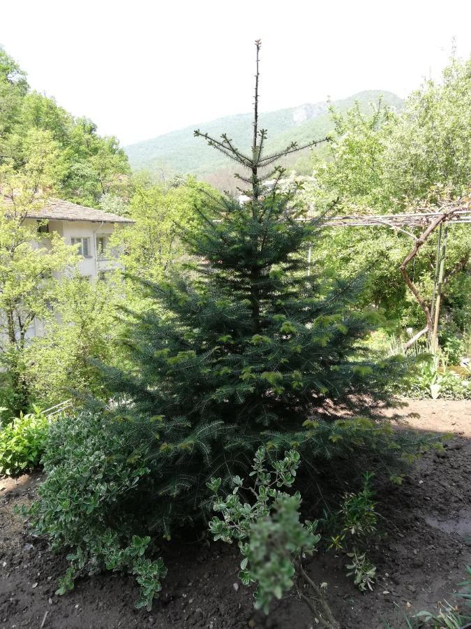 Дом Бакалски-Кмета Narechenski Bani 外观 照片